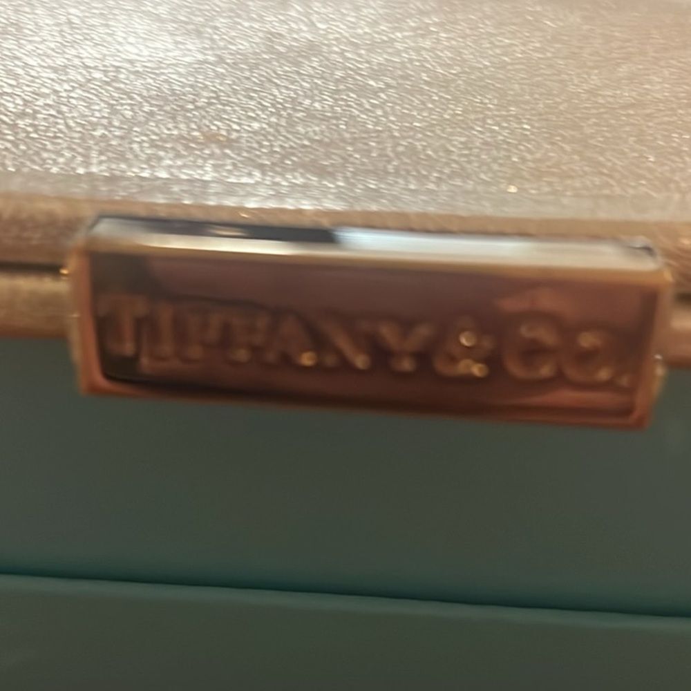 Tiffany & Co. Morgan Gold Leather Clutch - New - Picture 4 of 12
